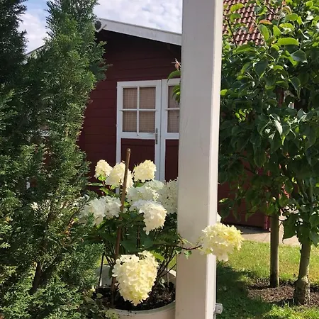 Tatil Evi Fehmarn- Ostseeferien Fh-4cozy Cottage2 170 Neue Tiefe Fehmarn